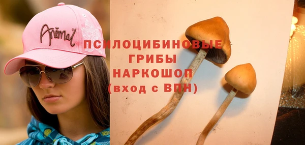 соль курить ск Волосово